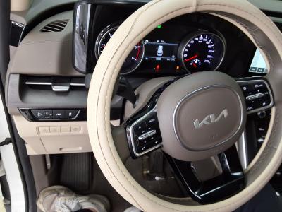 كارنيفال — صورة 2