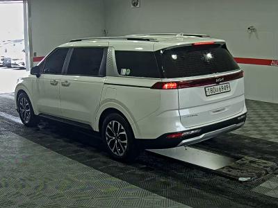 كارنيفال — صورة 8