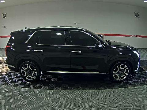 باليسيد — صورة 2