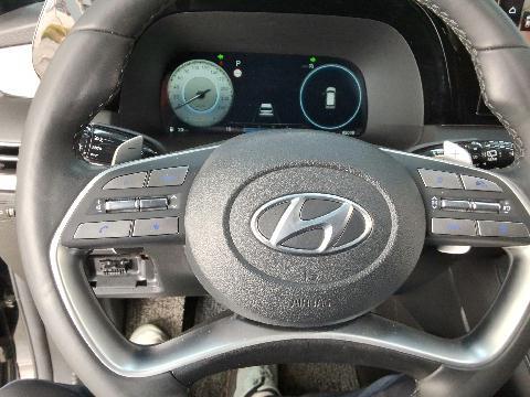 باليسيد — صورة 6