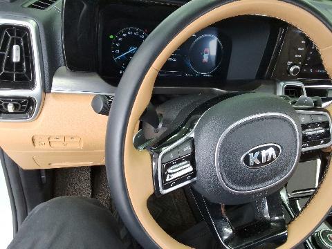 سورينتو — صورة 6