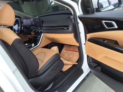 كارنيفال — صورة 5