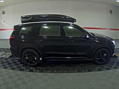 باليسيد — صورة 4