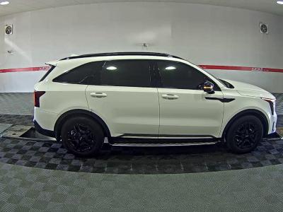 سورينتو — صورة 6